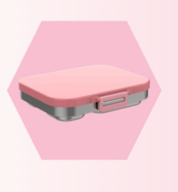 Bento Box with Snack Box