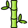 Bamboo Lid