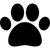 Attractive Animal Shape